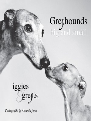 cover image of Greyhounds Big and Small